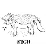 ���� 21 ����� - 20 ������