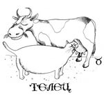 ����� 21 ������ - 21 ���