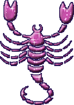 �������� 24 ������� - 22 ������