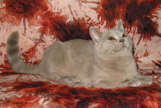 ��� �� � ��������. ��� 4 ������. ������ ����� ����� 2005 ���� � ��������� 