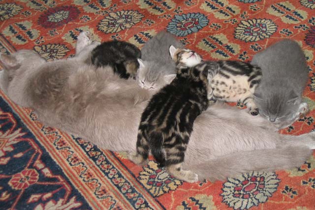 ������ ����� � ��������� 