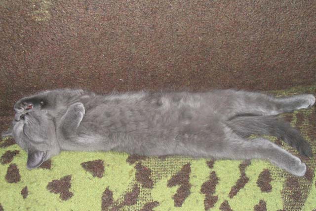 ������ ����� � ��������� 