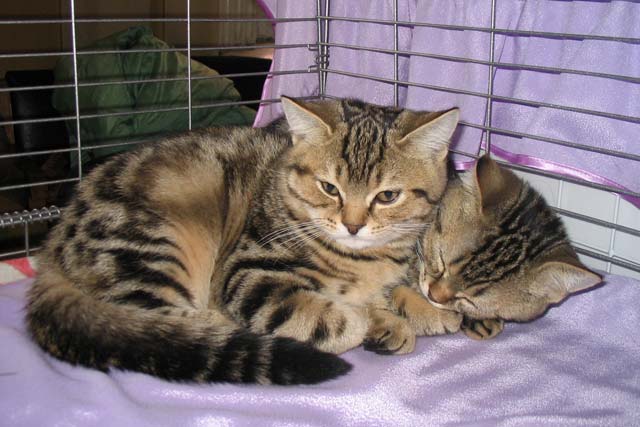 ������ ����� � ��������� 