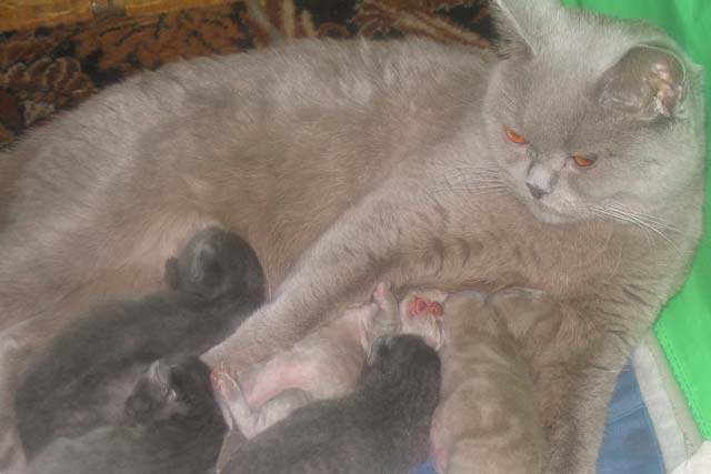 ������ ����� � ��������� 