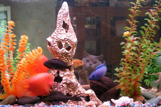 ����� �� ���. ������ ����� � ��������� 