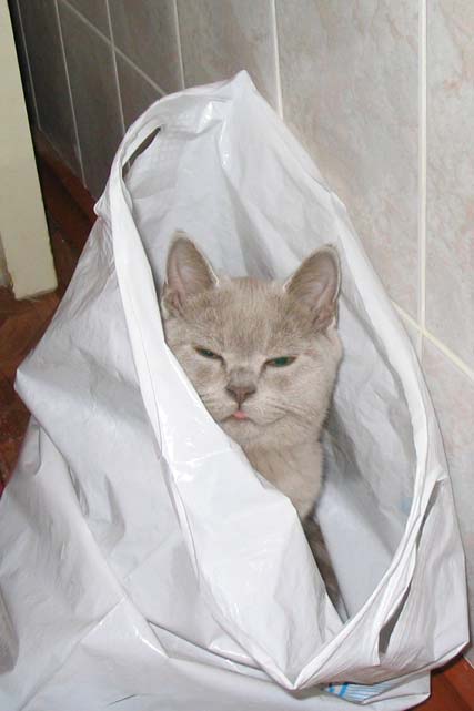 ������ � ������. ������ ����� ����� 2005 ���� � ��������� 