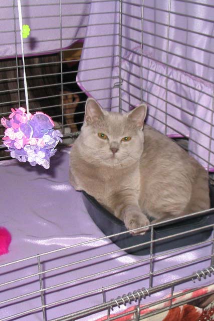 �� ��������. ������ ����� ����� 2005 ���� � ��������� 