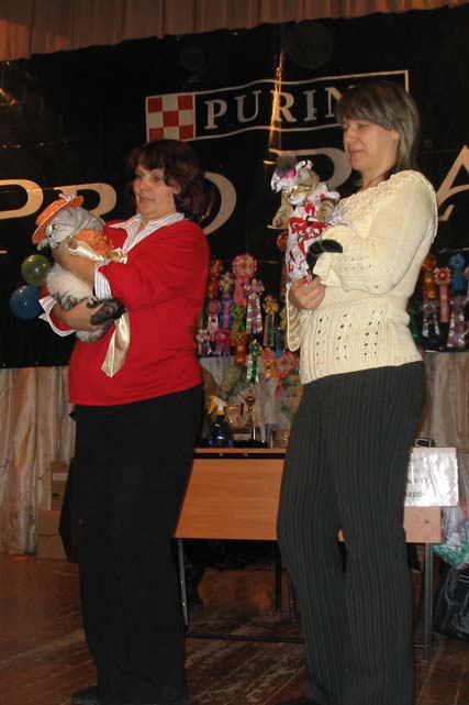 ��������������� ������������� �� �������� ������ ����� 2005�. ������������� �� ������ ����. ����: �Assol Beautiful Cat�