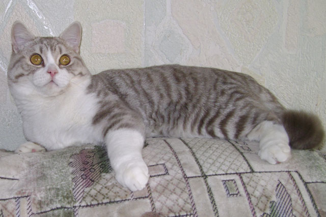 ������������� ������� �� ��������� 