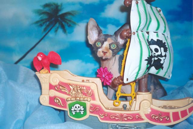 ������� ������������ ������ 2 ������ �� ������ Eva, �� ��������� Baby Rea Gold, ������ ������� ������������� ��������� Marisen, ���� ������� Vasfil Lolita, ���� Golden Max Zilmar