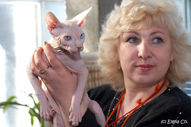 ����� ����������� �����, ���������� �� �������� � �������� ����� �����