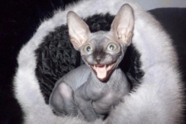 ������ ����� ��������� MARISEN