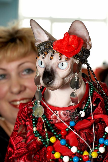 ������������� ��������� MARISEN, ������ �������,  ����� ������ ����� � ��������������� ����