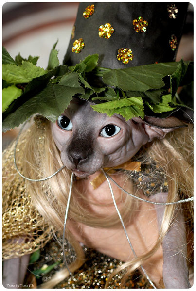 ������������� ��������� MARISEN ��� ���-����� �����,  � ������� ���������.���������� ���������������� ����