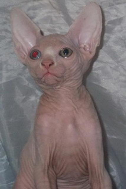 �����������, ����� �������.  ���� �������� 3 ���� 2009�.  ���� ���������, ���� �������