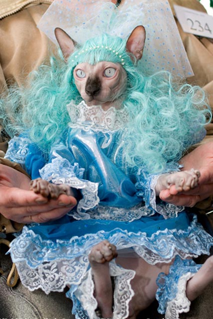 ���������� ���������������� ���� �� ��������, � ������� ��������.  ������������� ��������� MARISTN, ������ �������