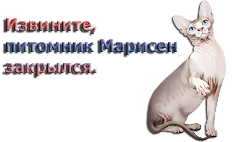 ��������, �������� ��������� ������.